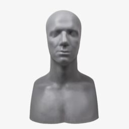 Sculpt Shop Ed Head Male Armature
